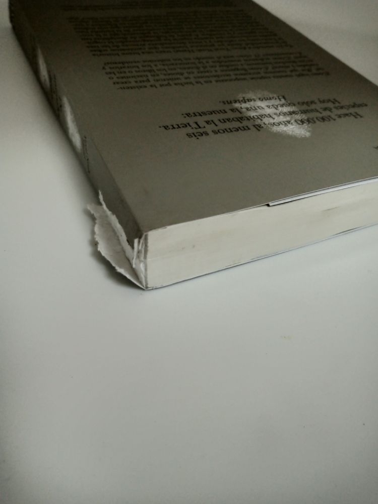 1682548236108.jpg