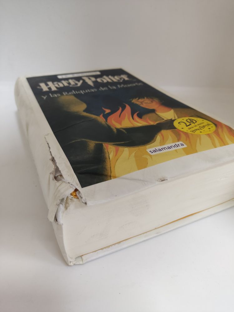 1695242252904.jpg